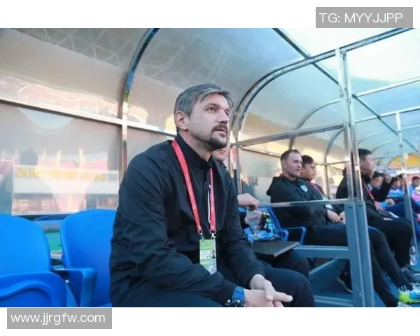 波黑足球传奇球星的辉煌历程与影响力解析 波黑足球传奇球星的辉煌历程与影响力解析